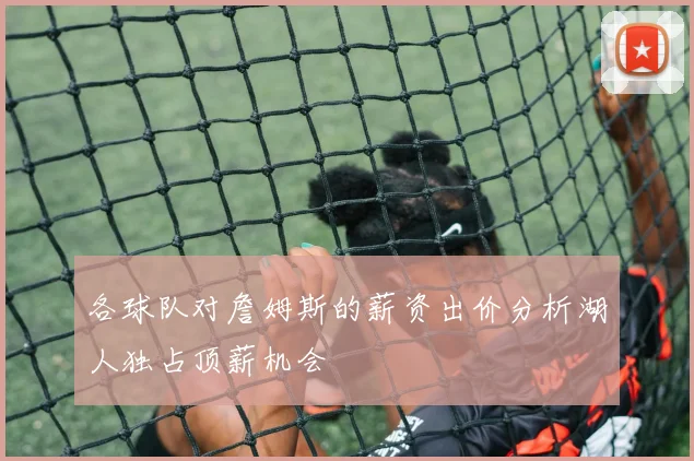 各球队对詹姆斯的薪资出价分析湖人独占顶薪机会